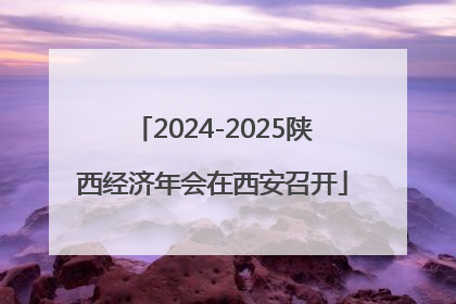 2024-2025陕西经济年会在西安召开
