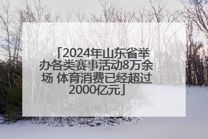 2024年山东省举办各类赛事活动8万余场 体育消费已经超过2000亿元