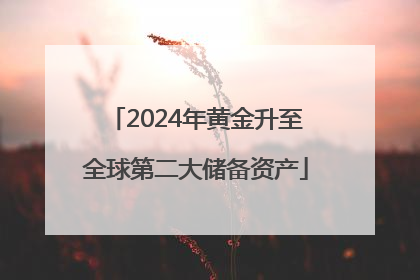 2024年黄金升至全球第二大储备资产