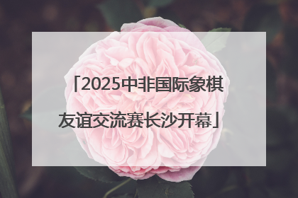 2025中非国际象棋友谊交流赛长沙开幕