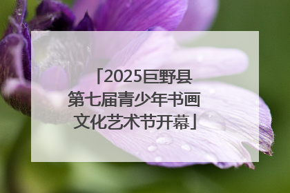 2025巨野县第七届青少年书画文化艺术节开幕