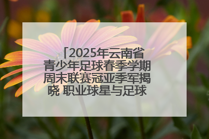 2025年云南省青少年足球春季学期周末联赛冠亚季军揭晓 职业球星与足球小将共享荣耀时刻