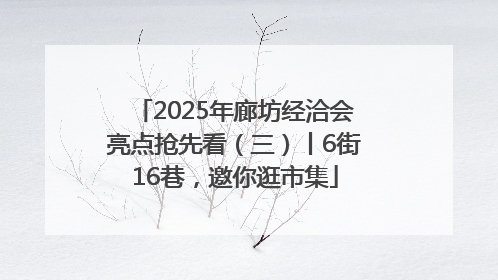 2025年廊坊经洽会亮点抢先看（三）丨6街16巷，邀你逛市集