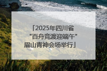 2025年四川省“百舟竞渡迎端午”眉山青神会场举行