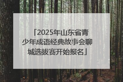 2025年山东省青少年成语经典故事会聊城选拔赛开始报名