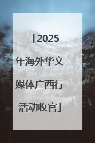 2025年海外华文媒体广西行活动收官