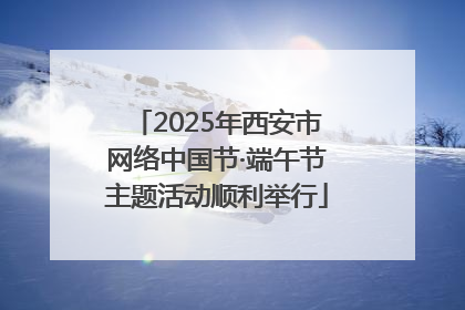 2025年西安市网络中国节·端午节主题活动顺利举行