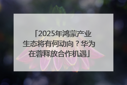 2025年鸿蒙产业生态将有何动向？华为在蓉释放合作机遇
