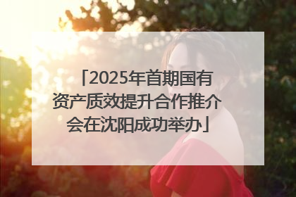 2025年首期国有资产质效提升合作推介会在沈阳成功举办
