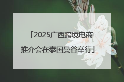 2025广西跨境电商推介会在泰国曼谷举行