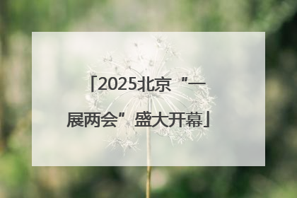 2025北京“一展两会”盛大开幕