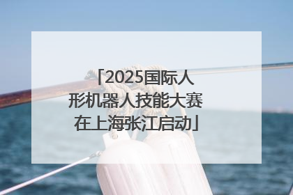 2025国际人形机器人技能大赛在上海张江启动
