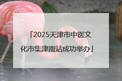 2025天津市中医文化市集津南站成功举办
