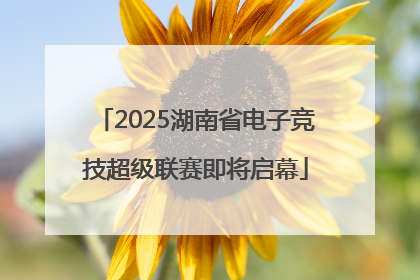 2025湖南省电子竞技超级联赛即将启幕