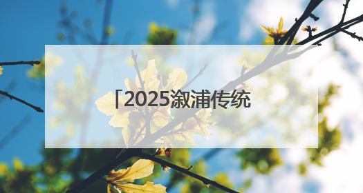 2025溆浦传统龙舟赛圆满落幕 竞速表演双燃 共展“大端午”魅力