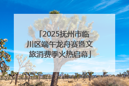 2025抚州市临川区端午龙舟赛暨文旅消费季火热启幕