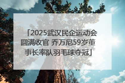 2025武汉民企运动会圆满收官 乔万尼59岁董事长率队羽毛球夺冠