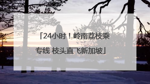 24小时！岭南荔枝乘专线 枝头直飞新加坡