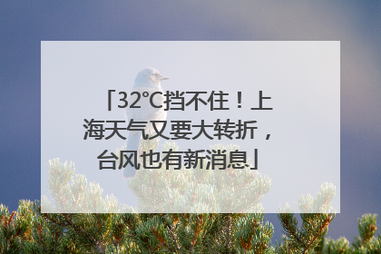 32℃挡不住！上海天气又要大转折，台风也有新消息