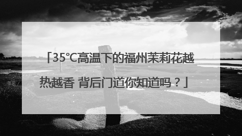 35℃高温下的福州茉莉花越热越香 背后门道你知道吗？