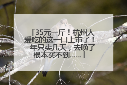 35元一斤！杭州人爱吃的这一口上市了！一年只卖几天，去晚了根本买不到……