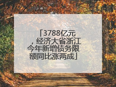 3788亿元，经济大省浙江今年新增债务限额同比涨两成