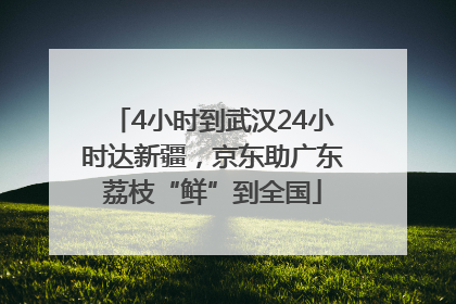 4小时到武汉24小时达新疆，京东助广东荔枝“鲜”到全国