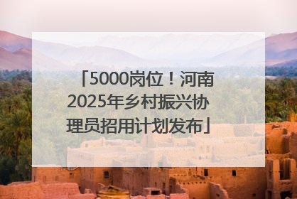 5000岗位！河南2025年乡村振兴协理员招用计划发布
