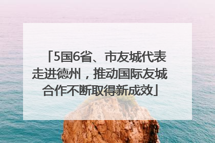 5国6省、市友城代表走进德州，推动国际友城合作不断取得新成效