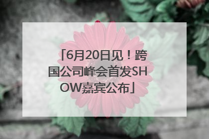 6月20日见！跨国公司峰会首发SHOW嘉宾公布