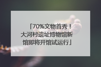 70%文物首秀！大河村遗址博物馆新馆即将开馆试运行