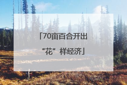 70亩百合开出“花”样经济