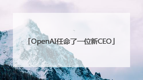 OpenAI任命了一位新CEO