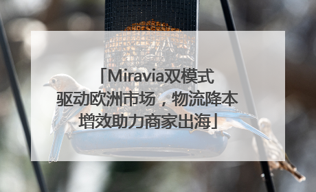 Miravia双模式驱动欧洲市场，物流降本增效助力商家出海