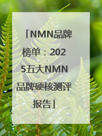 NMN品牌榜单：2025五大NMN品牌硬核测评报告